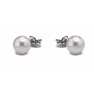 18K Akoya Pearl Earrings Stud 6.0-7.0mm White