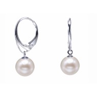 Freshwater Pearl Hoop Earrings 8.0-10.0mm White AAA Quality