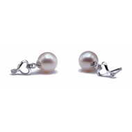 Freshwater Pearl Earrings 8.0-10.0mm White AAA Quality