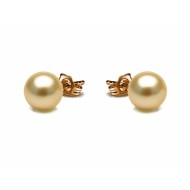 18k South Sea Pearl Earring 10.0-12.0mm Golden AA+/AAA
