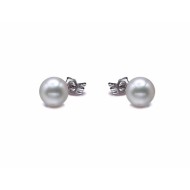 South Sea Pearl Earrings Stud 10.0-11.0mm White AA+/AAA Quality