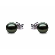 Tahitian Pearl Earrings Stud 10.0-11.0mm AA+/AAA Quality