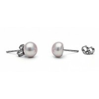 Freshwater Pearl Button Earrings Stud 7.0-10.0mm